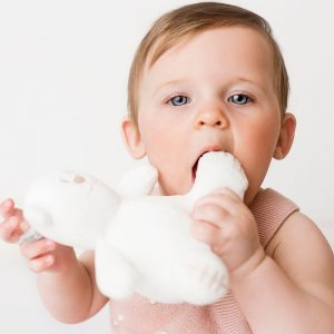 Poole Baby Milestone Photography. Sitter photography session